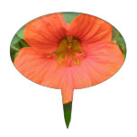 Orange Nasturtium Flower Cake Pick