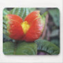 Orange Orange and green plant, Peruvian jungle flo Usepad