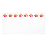 orange-orchids photo cards