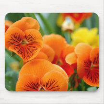 Orange Pansies Mousepads