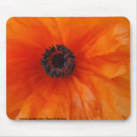 Orange Poppy Macro Mousemat
