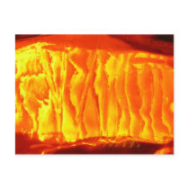 Orange Post Cards