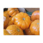 Orange Pumpkin Ghourds Postcards