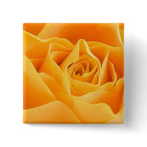 Orange Rose Buttons
