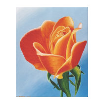 Orange Rose Stretched Canvas Prints