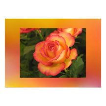 Orange Rose Invitation
