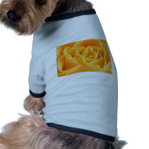 ORANGE ROSE PET CLOTHES