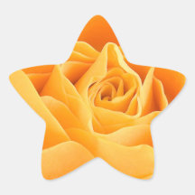 ORANGE ROSE STAR STICKERS
