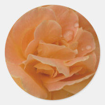 Orange Rose Sticker