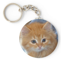 Orange Shorthair Kitten Keychain
