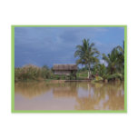 Orange Singe Dwelling With In Palm Trees, Sarah postcards
