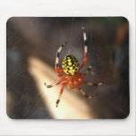 Orange Spider mousepads