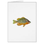 Orange Spotted Sunfish Cards