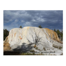 Orange Spring Mound Post Card