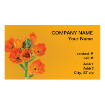 Orange Star of Bethlehem Business Card Template