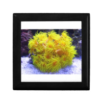 Orange Sun Coral Keepsake Boxes