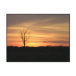 Orange Sunset postcards