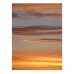 Orange Sunset Postcard