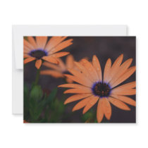 Orange Symphony Invitation