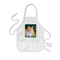 Orange Tabby Cat Apron