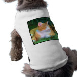 Orange Tabby Cat Doggie Tee