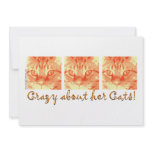 Orange Tabby Cat humour invitations