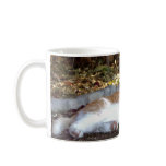 orange tabby cat mug
