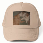 Orange Tabby Cats hats