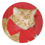 Orange tabby Christmas bow sticker