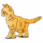 Orange Tabby Kitten photo sculptures