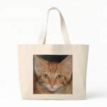 Orange Tabby Kitten tote bag