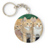 Orange Tabby Kittens Keychain