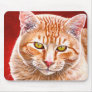 Orange Tabby Painting Use Mat