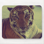 Orange Tiger Mouse Pad