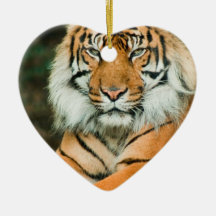 Orange Tiger Ornament