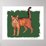 Orange 'Tiger' Tabby Cat posters