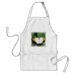 Orange Tipped White Winged Butterfly Apron