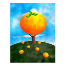 Orange Tree Post Card