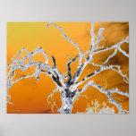 orange tree poster
