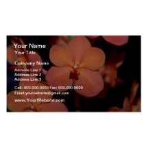 Orange Vanda flowers Business Cards