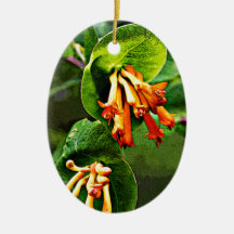Orange Wildflower artwork Ornament
