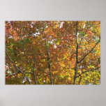 Orange, yellow, and green leaves print