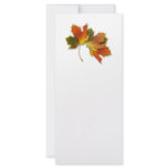Orange & Yellow  Fall Leaves rack cards