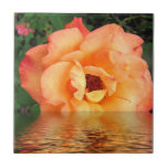 Orange Yellow Rose Flower Ceramic Tile
