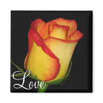 Orange-Yellow  Rose Magnet