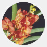 Orange Yip Sum Wah (Ascocenda) flowers Stickers