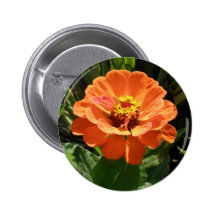 Orange Zinnia Button