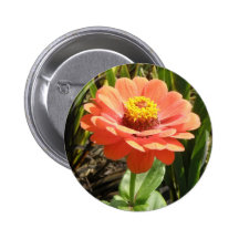 Orange Zinnia Flower Button