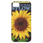 Orangedale Sunflower Vintage Fruit Crate Label Art iPhone 5 Covers
