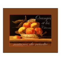 Oranges et les Citrons  ~ Vintage French Poster posters